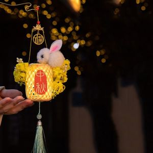 DAN LE Bamboo Weaving Cage Mid-Autumn Lantern LED Light Weaving Festival Lantern Portable Chinese Style Bamboo Portable Lantern Children/Kids