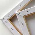 Renaissance Stretch Canvas All Purpose Painting Hobby Canvas Artist Rectangle White Canvas. 