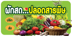 ป้ายไวนิลผักสด ผักออแกนิค ขายผัก พิมพ์ 1 ด้าน เจาะรูตาไก่ฟรี 4 มุม พิมพ์อิงเจ็ท ทนแดดทนฝน ลูกค้าเลือกขนาดได้ที่ตัวเลือกสินค้า