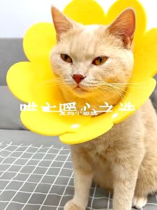 Pet Flower Elizabeth Recovery Collar  Cone for Cats and Dogs Anti Bite Adjustable
