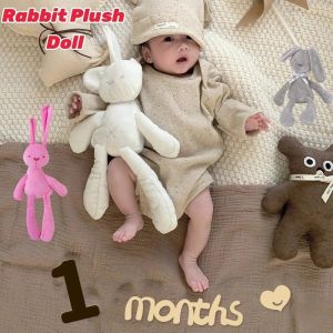 【COD】Cute Rabbit Stuffed Toy Cute Bunny Soft Plush Toy Cartoon Soft Stuffed Dolls Appease Plush Toys