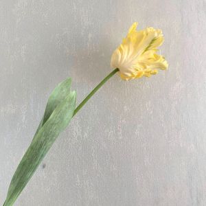 LLCY 1pcs 68cm Artificial Tulip Flower Realistic Texture Blooming Simulation Flowers Artificial Flower Home Decor