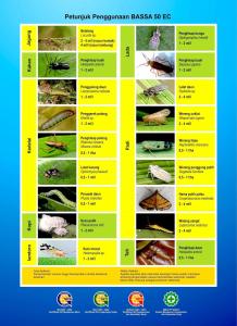 Insektisida Bassa 500 EC kemasan 100 ml untuk ulat dan kutu kebul