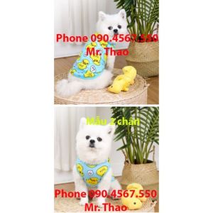 Quần áo Thú Cưng Mùa Hè Vịt Nhỏ Màu Vàng cho Chó Mèo Quần áo Mỏng cho Thú Cưng Thoáng Khí Mềm Mại Thoải Mái Thời Trang