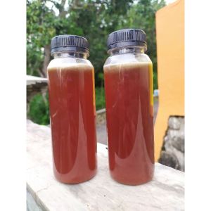 madu klanceng liar murni/Madu trigona