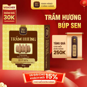 Nụ Trầm Búp Sen Thác Khói – Hộp Vàng 50g | Bảo Trầm – Hương Trầm Dịu Nhẹ Tự Nhiên