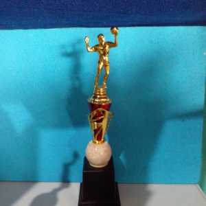 Piala Lomba Juara 1 2 3 4 (PEMAIN VOLY PUTRA BODY MERAH MARMER+RASER) "costum" FREE STICKER (BOLEH satuan)TERMASUK SETICKER DAN FREE DESIGN