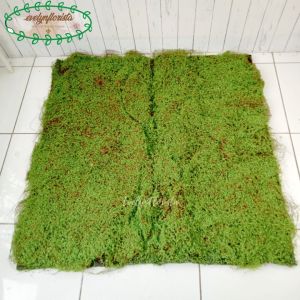 Karpet Lumut Sintetis Natural Lumut Artificial Dekorasi Taman Hiasan Tanaman Hias
