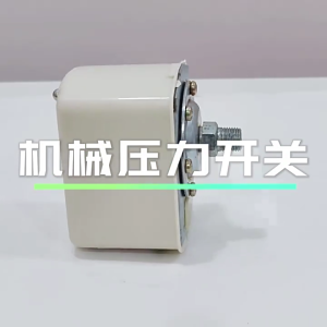 Adjustable Water Pump Pressure Switches Brass Water wells Pressure Control and Air pumps Pressure Switches Easy to Use