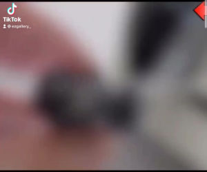 Door Edge Protector 4pcs Rubber Protection Pintu Kereta