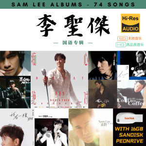 [74首] Pendrive Song 音乐USB 李圣杰国语专辑 mp3 超高音质 16gb 流畅播放 Sam Lee Songs 车载音乐