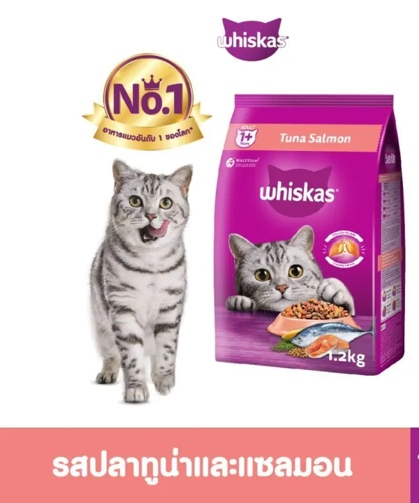 อาหารแมวแบบแห้ง ใหม่!! Whiskas วิสกัส อาหารแมวชนิดเม็ด แมวโต รสทูน่าและแซลมอน 480 ก
