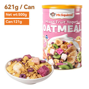 Mr.Squirrel oatmeal with fruits dried instant baked mixed yogurt low carb chewy yogurt diet cereal crunch rolled oats 500g