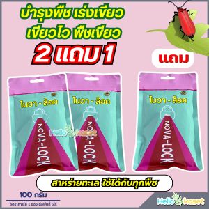 โปรสุดคุ้ม โนวาล็อค บำรุงพืช โปร 2แถม1  เร่งเขียว เขียวไว ขนาด 100 กรัม สาหร่ายทะเลแท้