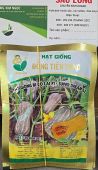 HẠT GIỐNG BÍ SUPER DREAM 63 | SIÊU NĂNG SUẤT