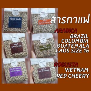 สารกาแฟ (1kg) Arabica Robusta Colombia Guatemala Laos Brazil Vietnam (เมล็ดกาแฟดิบ) สารกาแฟนอก สารกาแฟนำเข้า อาราบิก้า โรบัสต้า Pumirak_Coffee.Beans