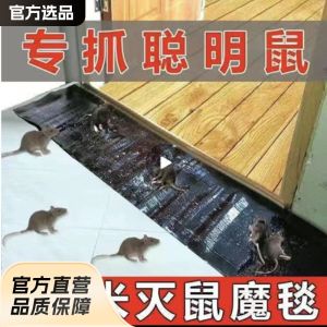 Mouse Sticky Mat Mouse Trap Magic Mat 1.2 Rice Sticky Mouse Board Wholesale Large Manufacturer Supports Dropshipping