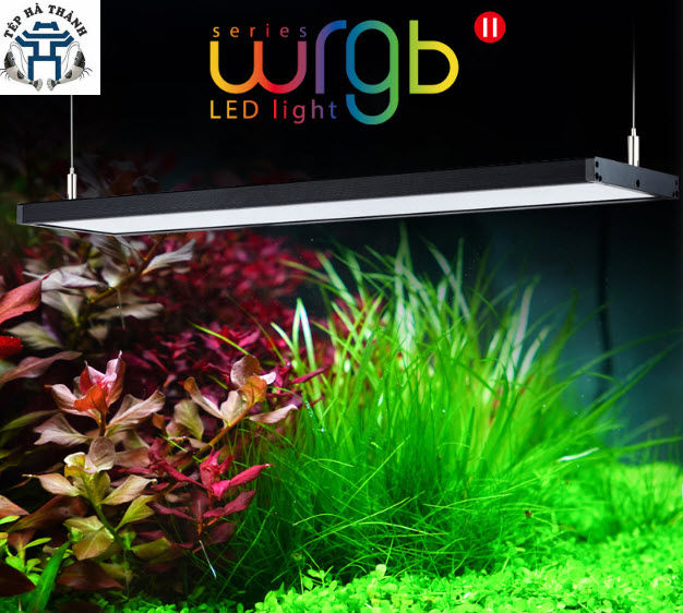 %5BHo%C3%A0n%20Ti%E1%BB%81n%2010%25%5D%20%C4%90%C3%A8n%20LED%20Cao%20C%E1%BA%A5p%20Chihiros%20WRGB%202%2090cm%20-%20Image%201