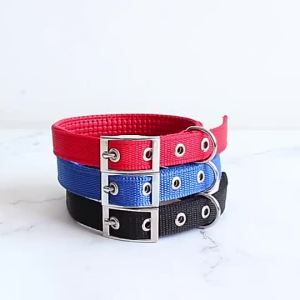 City Dog Durable Soft Foam Collar Adjustable Nylon Strong Strap Belt Stainless Safety Buckle
