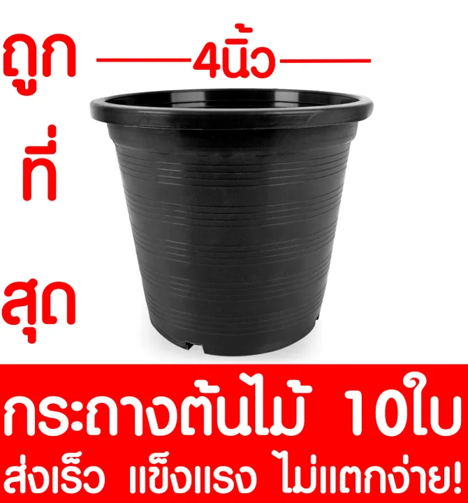 กระถางพลาสติกดำขนาด 4 นิ้ว 10 ใบ สำหรับต้นไม้ขนาดเล็ก