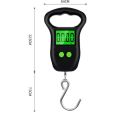 ROOMH 10g 50Kg LCD Backlight Hand Held Fish Hook Hanging Scale Electronic Weighting Scale Digital Luggage Scale Kitchen Weight Tool. 
