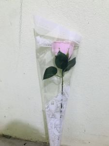 [ FREESHIP ] Bó hoa hồng 1 bông 3 bông  hoa hồng nhũ đỏ Hồng xanh kèm túi như hình làm quà tặng 8/3 quà tặng 20 tháng 10  quà tặng  20/11. Hoa sáp Hòa Sáp nhũ Tặng túi và thiệp chúc mừng.