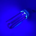 (4 Pack) 43050 Replacement Black Light Bulb for DynaTrap DT1775,DT1750,3/4 Acre and 1 Acre,PLC- 26 Watt. 
