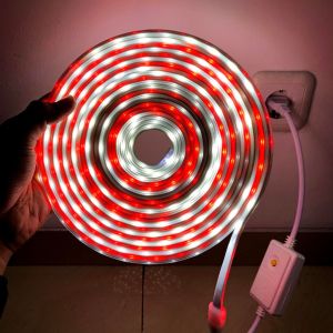 LAMPU STRIP / LAMPU AGUSTUSAN / LAMPU MERAH PUTIH / LAMPU HIAS / LAMPU NATAL
