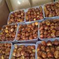 Kurma sukari premium NR 1 kg/korma sukari kualitas bagus. 