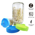 Food Grade Mesh Sprout Cover Split Stainless Steel Sprouting Lid Plastic Mason Jar Sprouting Lid. 