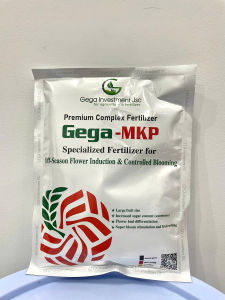 Phân Hóa Mầm Hoa Phân Bón MKP Hoa Ra Nhiều Tăng Khả Năng Đậu Trái dùng cho nghịch vụ gói 250g và 1000g