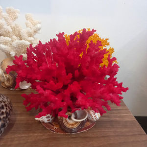 San hô lũa thủy sinh San hô trang trí bể cá tiểu cảnh tạo không gian biển