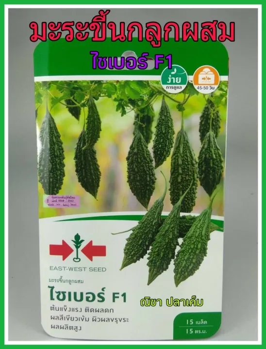 เมล็ดพันธุ์มะระขี้นก ไซเบอร์ F1 ผลดก ผิวขรุขระ