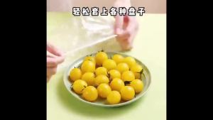 【Ship in 24H】500pcs Plastic Wrap Food Cover Food Grade Cling Film Dish Cover Home Reusable Elastic Food Preservation Bag 保鮮袋 保鮮膜套