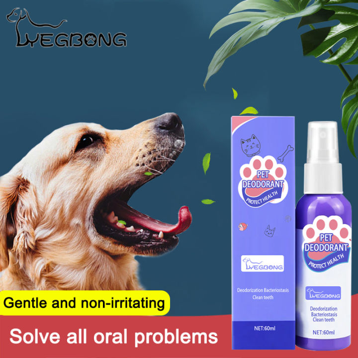 Dental Care Listerine Spray For Dogs ?veterinary Advice?Pet Dental