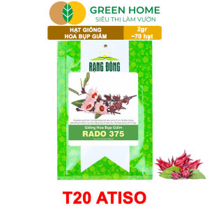 Hạt Giống Atiso Đỏ ( Bụp Giấm) Greenhome Gói 2gr~70 hạt Dễ Trồng Quanh Năm Nảy Mầm Cao Thu Hoạch Nhanh Năng Suất Cao T20