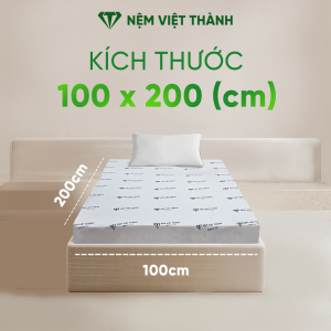 (Giao Hỏa Tốc HCM) Nệm Foam Hoạt Tính LIVING Việt Thành Cao Cấp Cao Su Kết Hợp Foam Êm Ái Đàn Hồi Thoáng Khí Kháng Khuẩn Nâng Đỡ Cột Sống