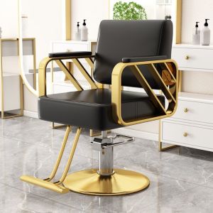 Furnihive Modern Fashion Barber Chairs Hairdressing chair Salon chair Hairdressing chair Hair cutting chair High-grade shaving lift chair