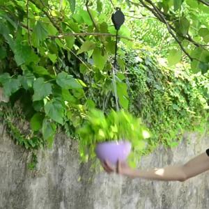 ตะขอแขวนบ้านแบบขยายได้ ตะขอแขวนกระถางดอกไม้ ตะขอแขวนกระถางกล้วยไม้แบบปรับได้ ตะขอแขวนกระถางระเบียง เชือกแขวนฟรี