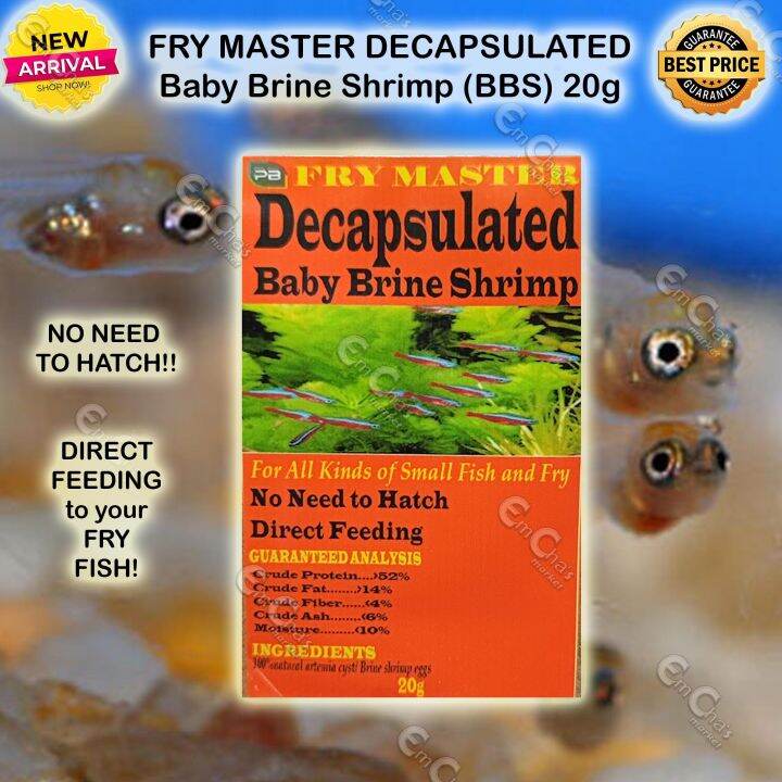 Brine shrimp hotsell for fry