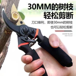 Japanese GARDEN SHEAR SUPER ACTION Tree Plant Cutting Saw Scissor Anti-Rust Hand Pruner Cutter