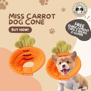 [SG] [FAST] Comfy Soft E-Collar for Dogs & Cats Adjustable Elizabethan Recovery Cone for Post-Surgery Care