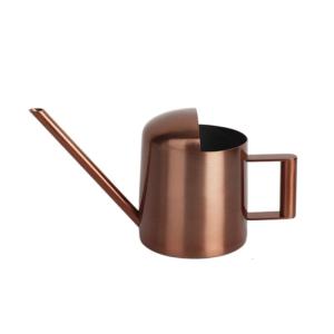 Small Watering Can for Indoor Plant Long Spout Watering Can Indoor Watering Can for House Plant Flowers Succulents