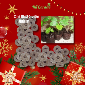 Viên Nén Xơ Dừa hữu cơ Thi Garden ươm hạt trồng cây Eco-friendly