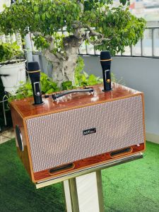 Loa Karaoke BB79V – 6 Đường Tiếng 2 Bass 20cm Công Suất 450W – Âm Thanh Cực Đỉnh
