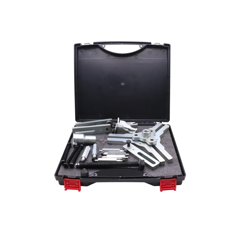 DCT 6 DPS6 6DCT250 Dry Dual Clutch Transmission Reinstall Reset