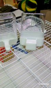 เซ็ตหลอดน้ำ+หลอดอาหาร สำหรับนก แฮมเตอร์ กระรอก ชูการ์ ติดกรงได้ (เซ็ต)