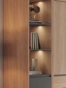 Wardrobe Light Luxury Changhong Glass Sliding Door Wardrobe Modern Minimalism Sliding Wardrobe