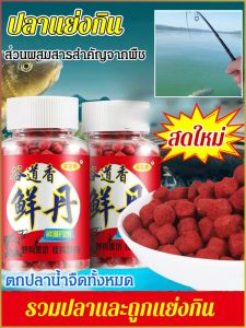 เหยื่อโปรตีนจากสัตว์ การเลือกใช้วัสดุอย่างพิถีพิถัน แหล่งท่องเที่ยวปลา เม็ดเหยื่อปลาขี้เกียจ