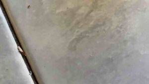 BEHEL BELAKANG ASTREA PRIMA ASTREA STAR/ planger behel begel belakang Astrea Prima Astrea Star